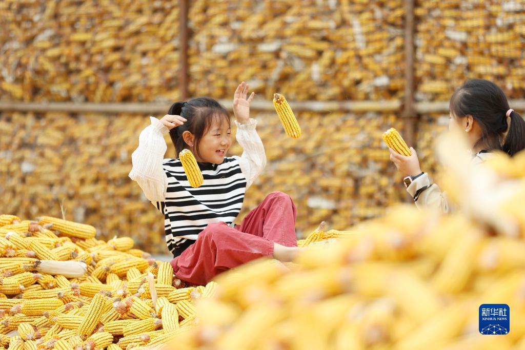 金博宝官网